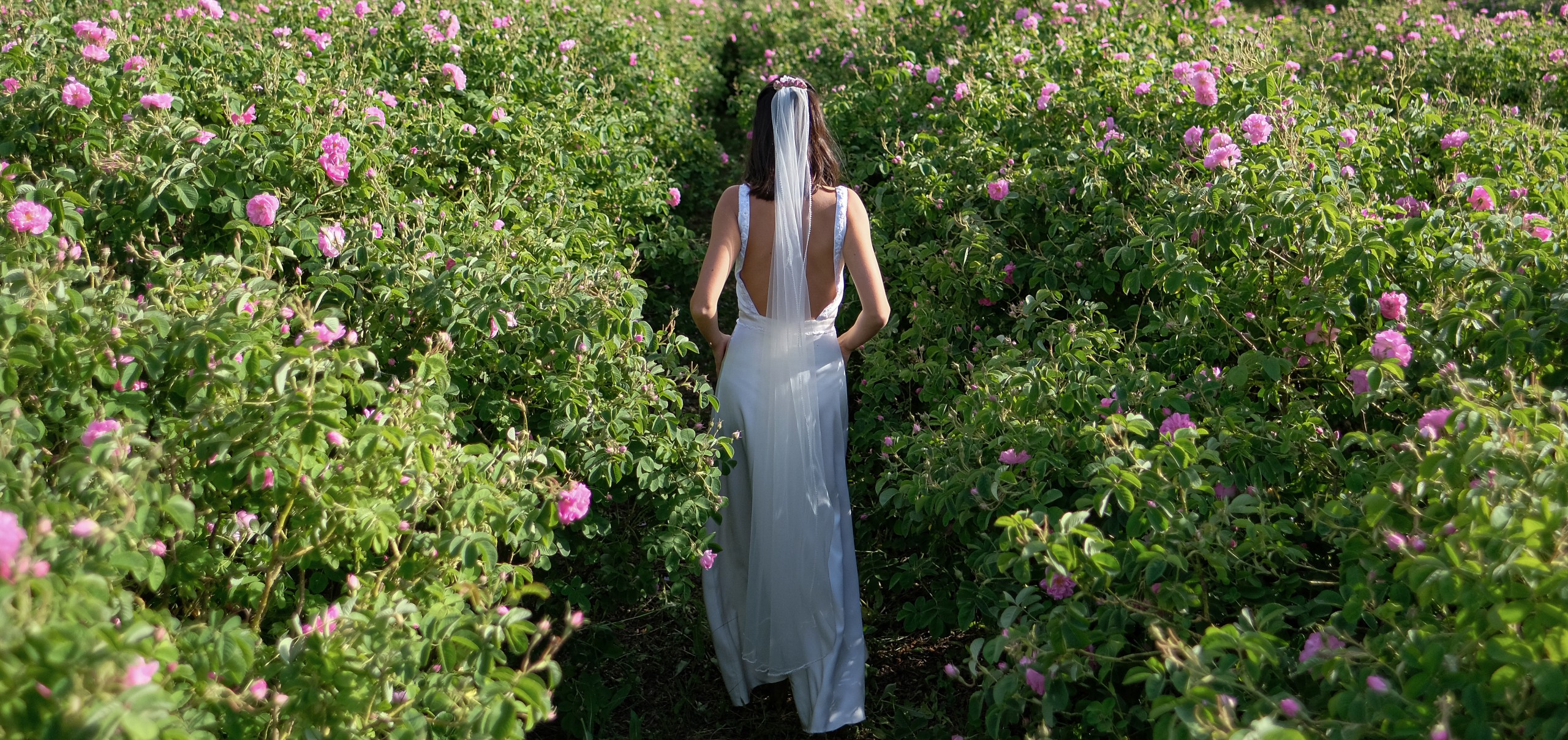 7.4 Maram Dress Fatima veil Arinass Hairclip